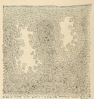 An illustration from The American journal of the medical sciences (1827)
