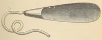 An illustration from The American journal of the medical sciences (1827)