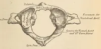 An illustration from The American journal of the medical sciences (1827)