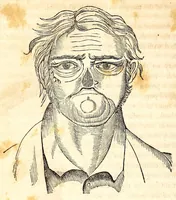 Picture 11 of 16 from The American journal of the medical sciences (1827), leaf 350
