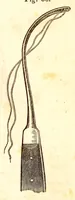 Picture 9 of 13 from The American journal of the medical sciences (1827), leaf 413