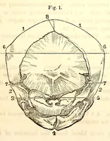 An illustration from The American journal of the medical sciences (1827)