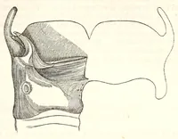 An illustration from The American journal of the medical sciences (1827)