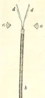 An illustration from The American journal of the medical sciences (1827)