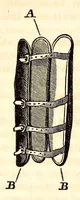 Picture 11 of 12 from The American journal of the medical sciences (1827), leaf 106