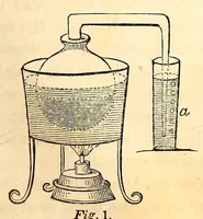 An illustration from The American journal of the medical sciences (1827)