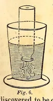 An illustration from The American journal of the medical sciences (1827)