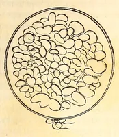 Picture 10 of 16 from The American journal of the medical sciences (1827), leaf 295