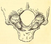 An illustration from The American journal of the medical sciences (1827)