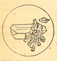 Picture 11 of 14 from The American journal of the medical sciences (1827), leaf 384