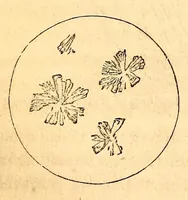 Picture 13 of 14 from The American journal of the medical sciences (1827), leaf 384