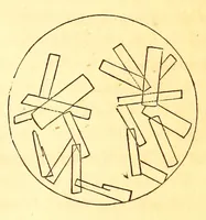 Picture 14 of 14 from The American journal of the medical sciences (1827), leaf 385