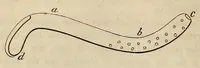 Picture 11 of 18 from The American journal of the medical sciences (1827), leaf 100
