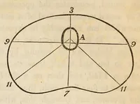 An illustration from The American journal of the medical sciences (1827)