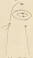 An illustration from The American journal of the medical sciences (1827)