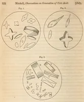 Picture 2 of 13 from The American journal of the medical sciences (1827), leaf 128