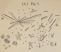 An illustration from The American journal of the medical sciences (1827)
