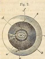 An illustration from The American journal of the medical sciences (1827)