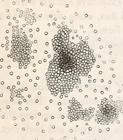 An illustration from The American journal of the medical sciences (1827)