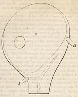 An illustration from The American journal of the medical sciences (1827)