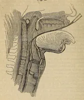 An illustration from The American journal of the medical sciences (1827)