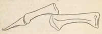 Picture 6 of 7 from The American journal of the medical sciences (1827), leaf 569