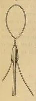 An illustration from The American journal of the medical sciences (1827)