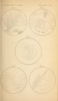Picture 6 of 7 from The American journal of the medical sciences (1827), leaf 307