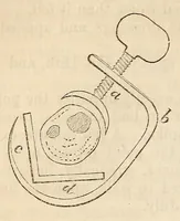 Picture 9 of 11 from The American journal of the medical sciences (1827), leaf 318