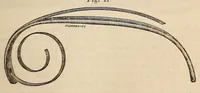 An illustration from The American journal of the medical sciences (1827)