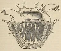 An illustration from The American journal of the medical sciences (1827)