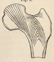 Picture 11 of 16 from The American journal of the medical sciences (1827), leaf 381