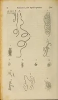 Picture 3 of 4 from The American journal of the medical sciences (1827), leaf 26