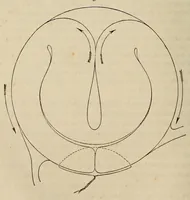 An illustration from The American journal of the medical sciences (1827)