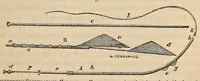 Picture 8 of 13 from The American journal of the medical sciences (1827), leaf 329