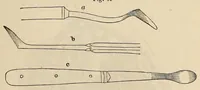 An illustration from The American journal of the medical sciences (1827)