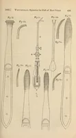 Picture 12 of 13 from The American journal of the medical sciences (1827), leaf 409
