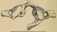 An illustration from The American journal of the medical sciences (1827)