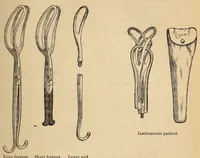 Picture 5 of 17 from The American journal of the medical sciences (1827), leaf 117