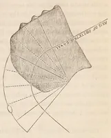 Picture 11 of 14 from The American journal of the medical sciences (1827), leaf 325