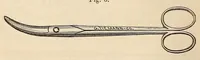 An illustration from The American journal of the medical sciences (1827)