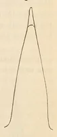 An illustration from The American journal of the medical sciences (1827)
