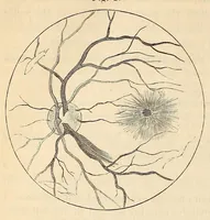 An illustration from The American journal of the medical sciences (1827)