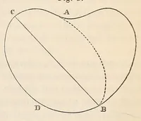 Picture 14 of 16 from The American journal of the medical sciences (1827), leaf 393