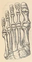 An illustration from The American journal of the medical sciences (1827)