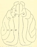 An illustration from The American journal of the medical sciences (1827)