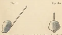 Picture 11 of 17 from The American journal of the medical sciences (1827), leaf 135