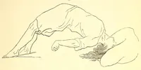 An illustration from The American journal of the medical sciences (1827)