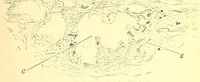 An illustration from The American journal of the medical sciences (1827)