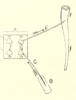 Picture 14 of 14 from The American journal of the medical sciences (1827), leaf 394